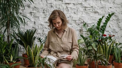 6 fouten die jij maakt bij het verzorgen van je planten