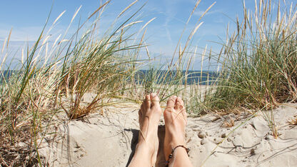 De fijnste stranden van Noord-Holland 