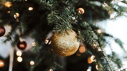 Vroeg pieken: met deze tips ziet jouw kerstboom er strak uit