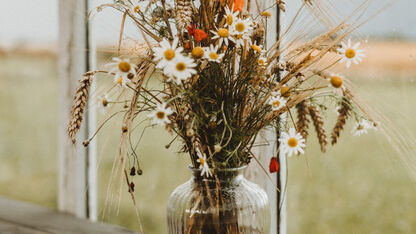 Met dit drankje houd je je bloemen langer in leven