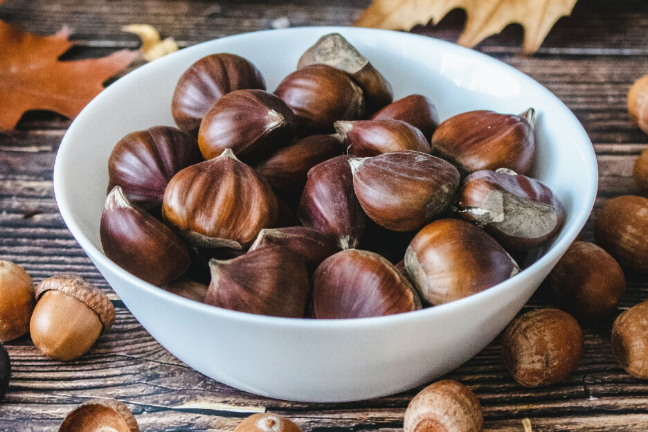 Waarom iedereen tamme kastanjes zou moeten