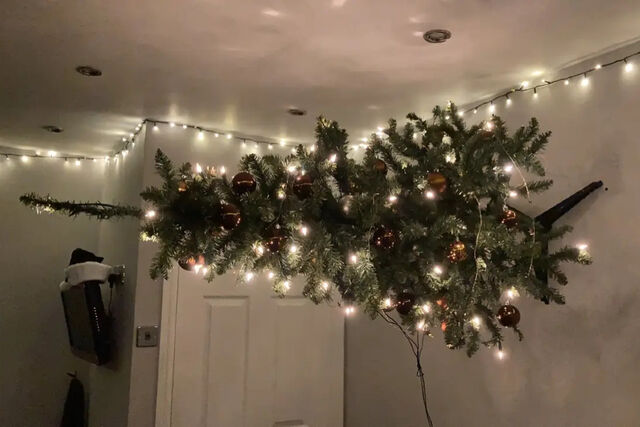 kerstboom aan de muur callum perrin ladbible