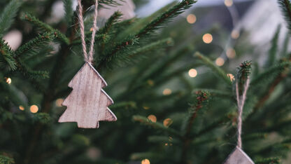 Zo kan het ook: een kerstboom aan de muur