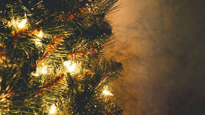 Kerstverlichting in de kerstboom: zo krijg je ze binnen no time erin