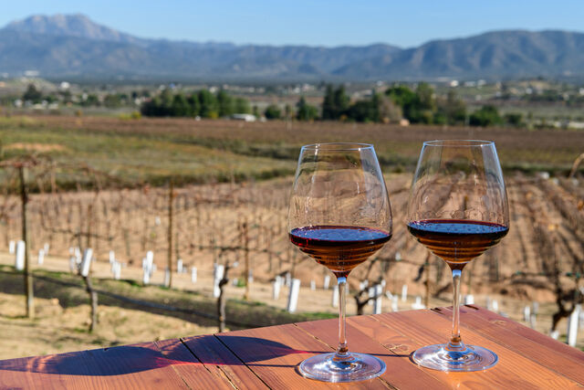 Valle de Guadalupe, Mexico&nbsp;