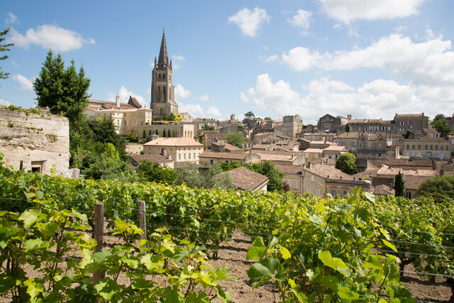 wijn vakantie  Saint-&Eacute;milion, Bordeaux,