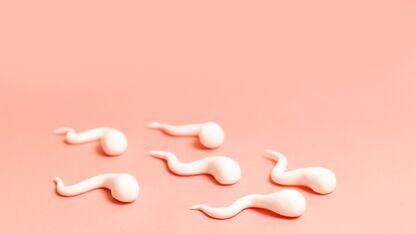 Het grote spermadossier: alles over sperma!