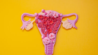 Wat is endometriose? De symptomen, oorzaken + gevolgen