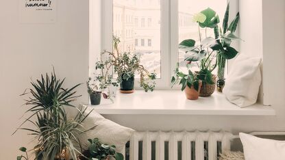 Planten beschermen tijdens je vakantie doe je zo