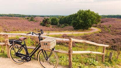 De leukste plekjes op de Veluwe voor een herfstig weekendje weg