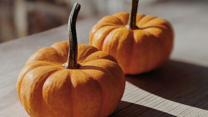 Deze pompoenvormige appelflappen wil je maken voor Halloween!