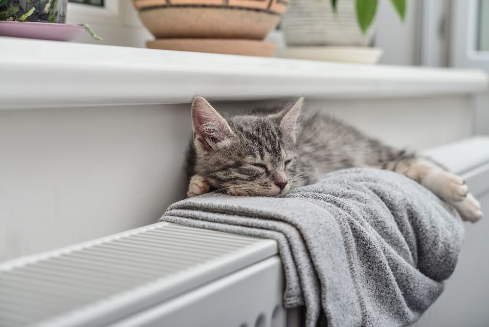 Handig! Met dit kledingstuk maak je je verwarming zo stofvrij