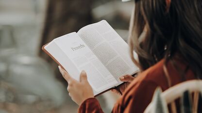 De leukste boeken om dit jaar te lezen