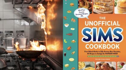 Hilarisch: met dit Sims kookboek kook jij zelf alle gerechten uit het spel