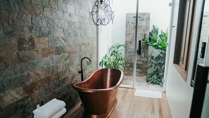 Met deze plant ruikt je badkamer altijd naar de spa