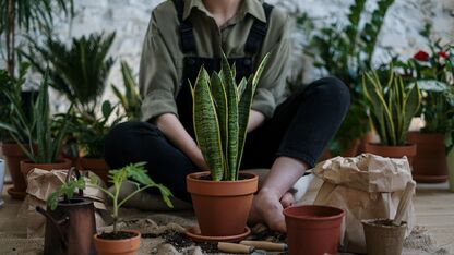DIY: plantenpotjes van spullen die je al in huis hebt