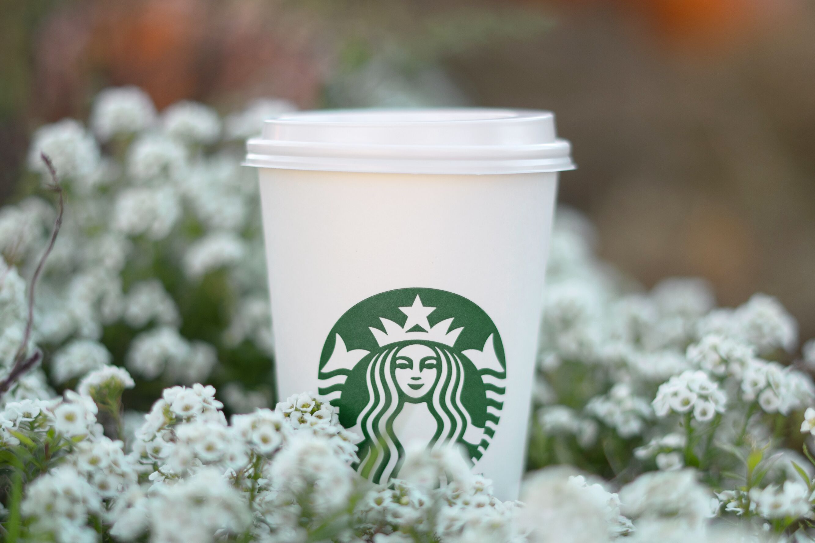 Starbucks lanceert gloednieuw drankje met vanille brûlee en havermelk