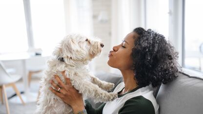Good to know: vrouwen met deze honden zijn het aantrekkelijkst