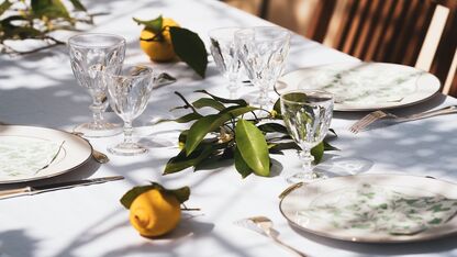 10x kleurrijk servies voor een heerlijk diner in de tuin