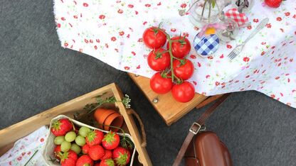 10 onmisbare items voor een sfeervolle picknick