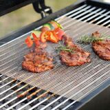 BBQ grillmat van kunststof gaas (2 stuks)&nbsp;
