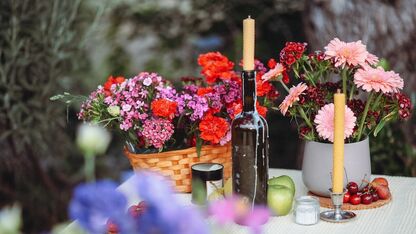 Lekker buiten dineren? Zo weer je insecten van je eten