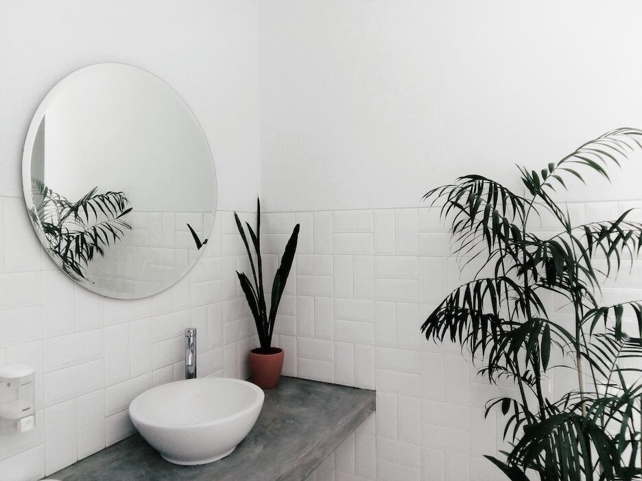 Deze planten doen het wél goed in je badkamer