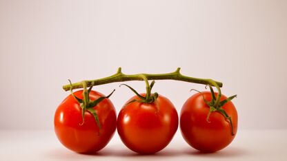 Met deze tips bewaar je groente en fruit net iets langer