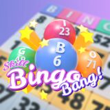 Geld verdienen met Bingo
