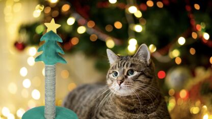 Kerst voor je kat: Action verkoopt nu deze kerstboom-krabpaal (voor een prikkie)