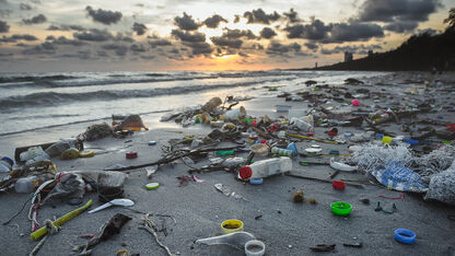 Plastic verdwijnt overal: zo maak jij jouw leven duurzamer
