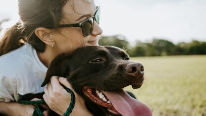 Waarom honden goed zijn voor je mentale gezondheid
