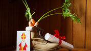De Sint komt eraan: dit zijn de leukste schoencadeautjes voor de dames in je familie