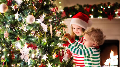 Hoe lang na kerst kan je de kerstboom nou echt laten staan?