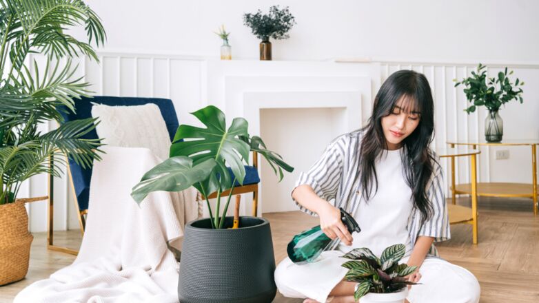 Deze 6 planten hebben bijna geen water nodig