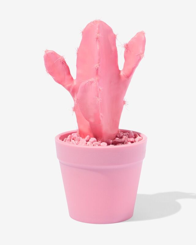 kunstplant cactus roze - 41324052 - HEMA