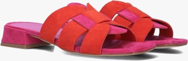 Paarse STEFANO LAURAN Slippers KARIN - large