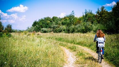 Hard werken, harder spelen: de beste buitenactiviteiten om je zomer in balans te brengen