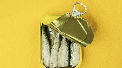 Sardine fashion: dé fishy trend van de zomer