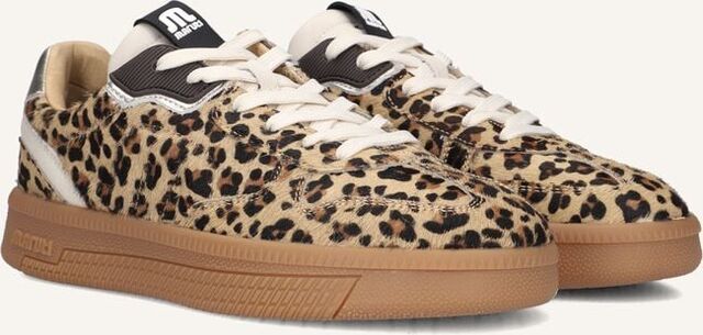 Beige MARUTI Lage sneakers YALE - large
