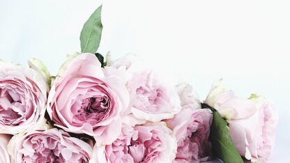 Hoe je iemand echt kunt steunen na een verlies