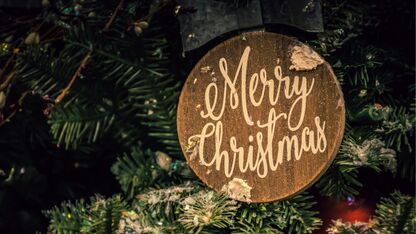 Nog geen kerstboom? Deze boom kan jij het beste aanschaffen