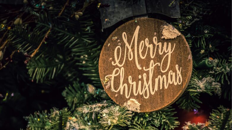 Nog geen kerstboom? Deze boom kan jij het beste aanschaffen