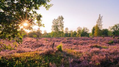 Even weg van alles? Dit zijn de gezelligste plekjes voor een weekendje ertussenuit in Nederland