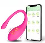Vibrator met App Control 