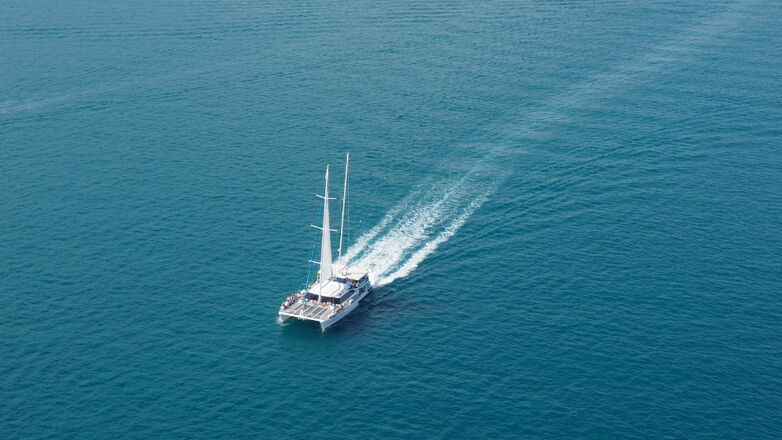 Yes! Van slangen naar kaviaar: dit nieuwe Net5-programma wordt next level