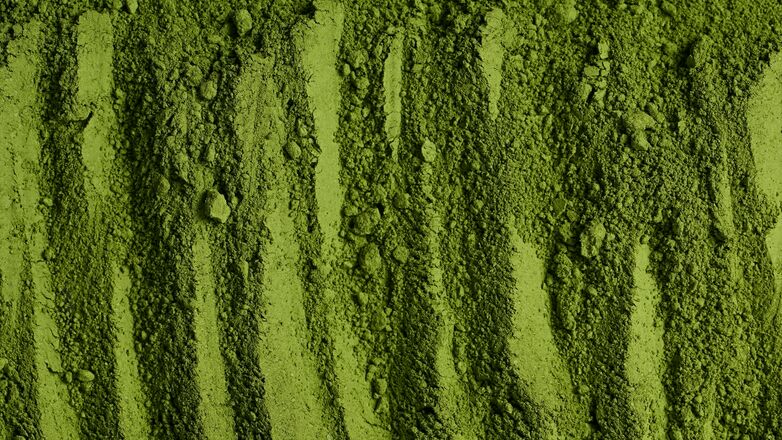 Matcha poeder kopen: hier moet je op letten voor de beste kwaliteit