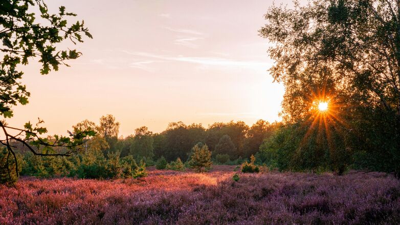 Hidden gem! Leuke dingen om te doen in Apeldoorn
