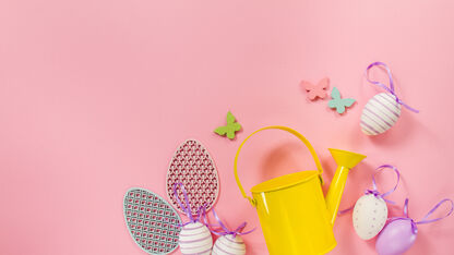 Haal deze leuke Paasartikelen nu in huis