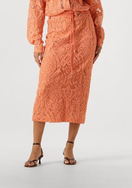 Perzik AAIKO Midirok AMIA PES 565 - large